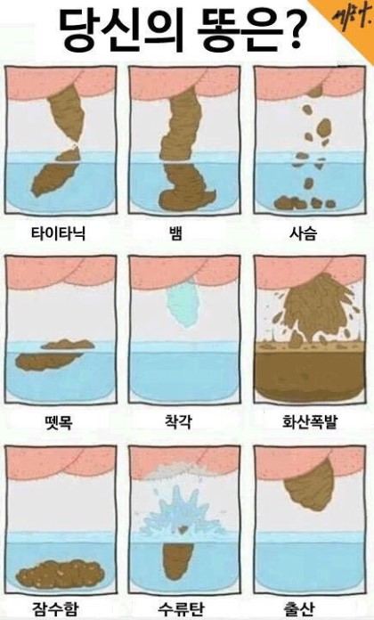 당신의 똥은 ? (극혐) - 엔트리 유머/포토