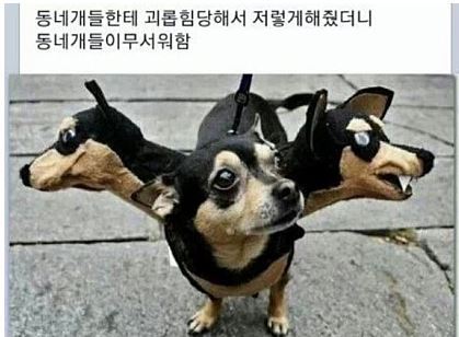 웃긴사진.jpg