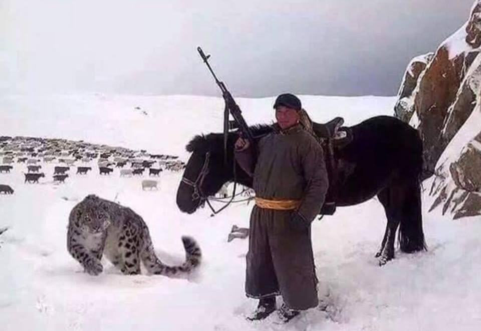 몽골의 흔한 양치기.jpg
