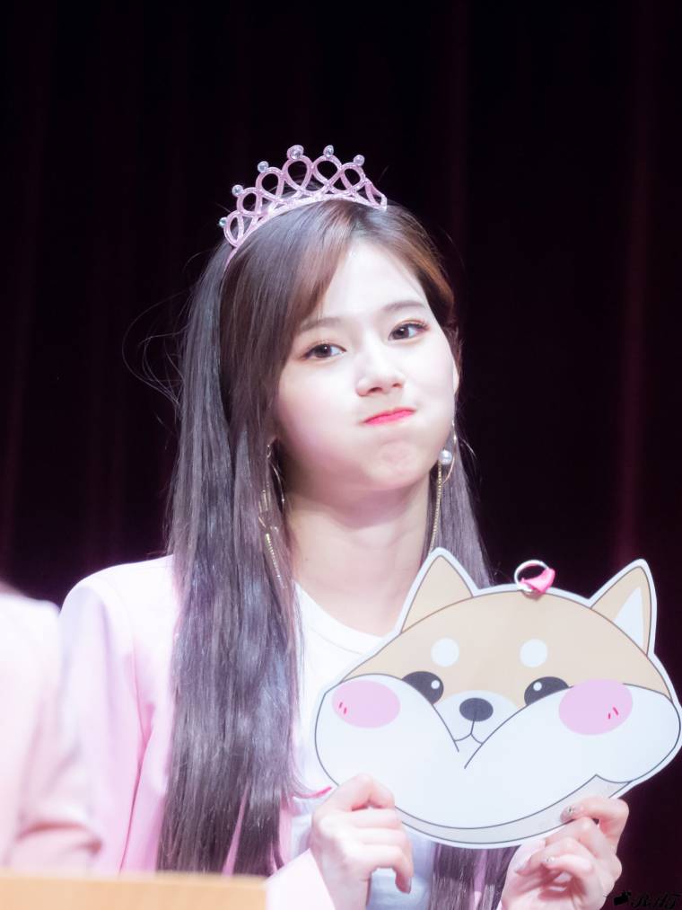 사나