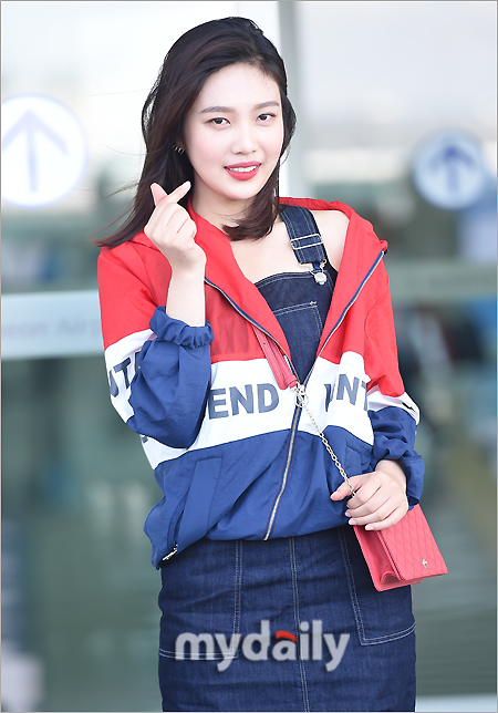 레드벨벳 조이