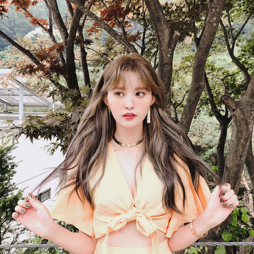 정화 