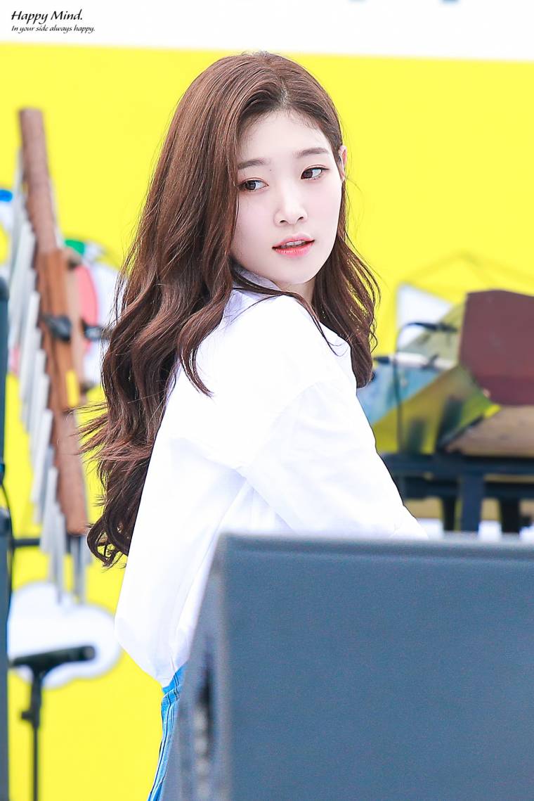 정채연