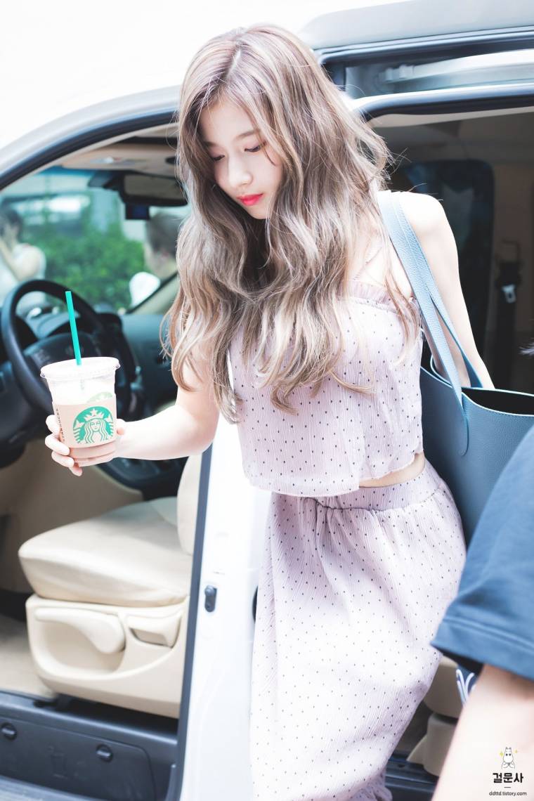물오른 사나