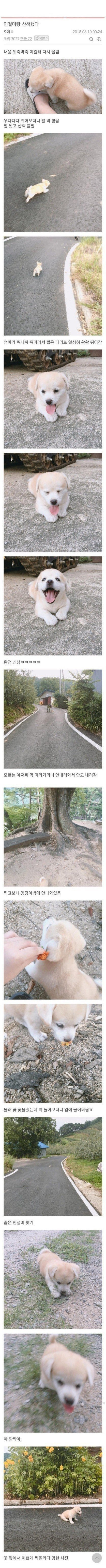 인절미를 구한 디시인 (3).jpeg