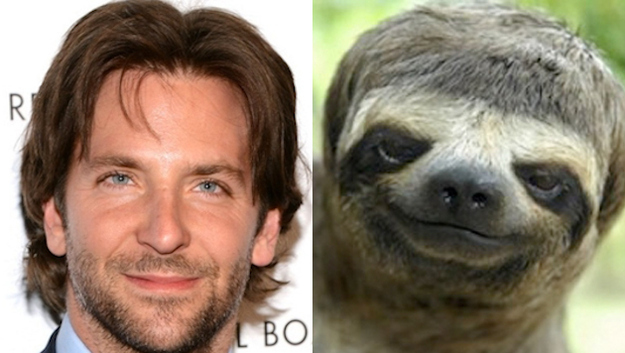 bradley-cooper-sloth-iambored-pro.jpg