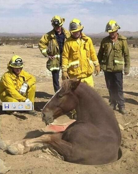 하 이거 참 어떻게 말을 꺼내야 할지....jpg