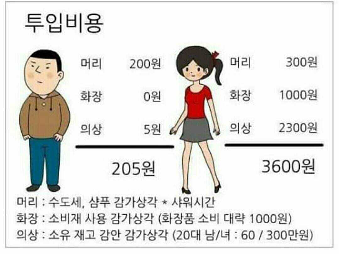 투입비용.jpg