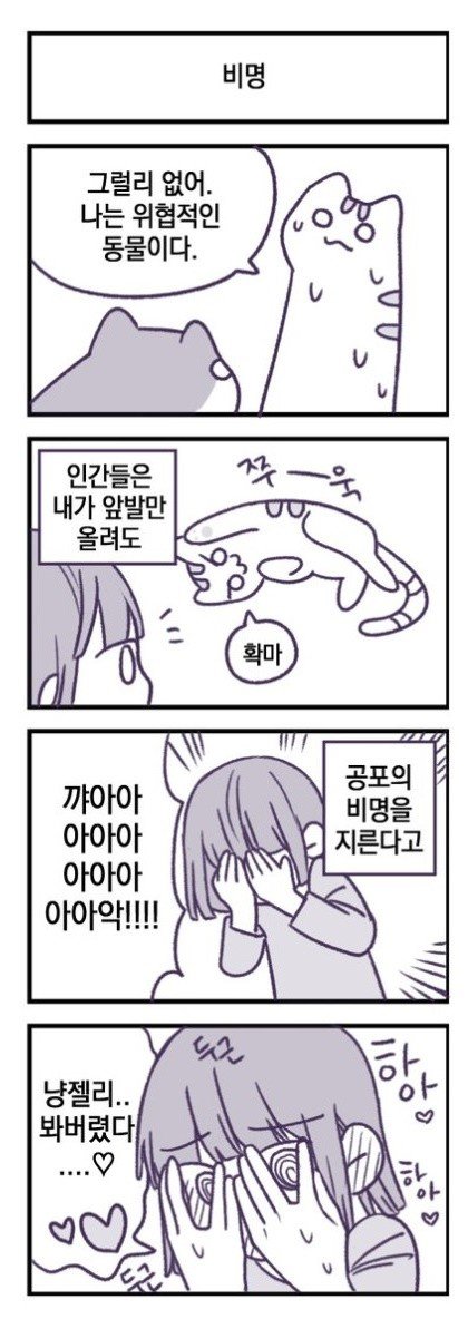 사악한 고양이 (3).jpg