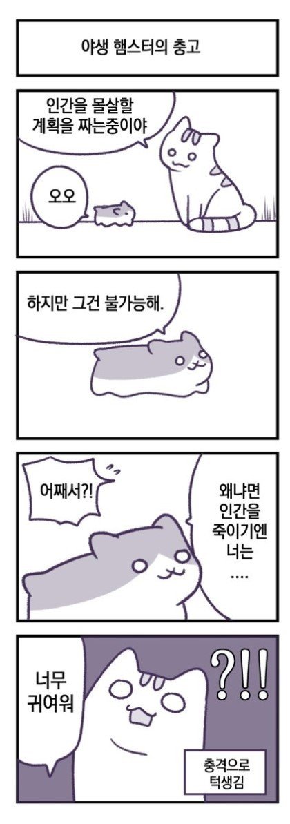 사악한 고양이 (2).jpg