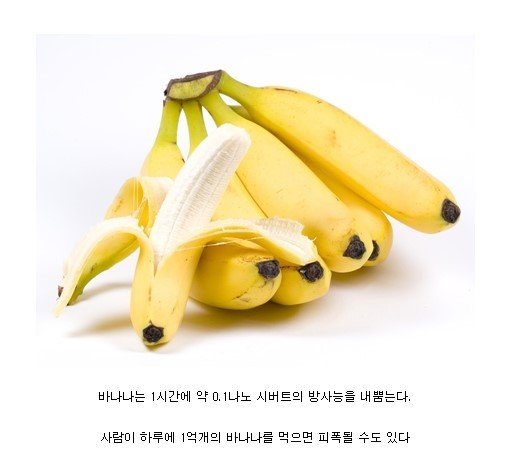 위험한 과일.jpg