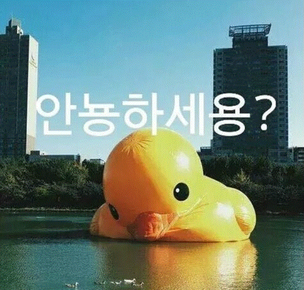 안녕하세오.GIF