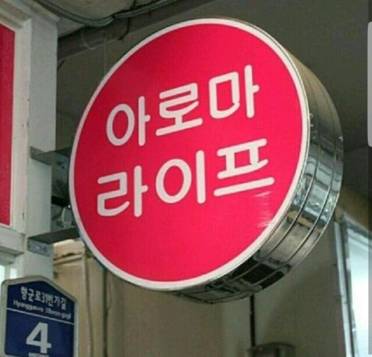 쉬즈곤.jpg